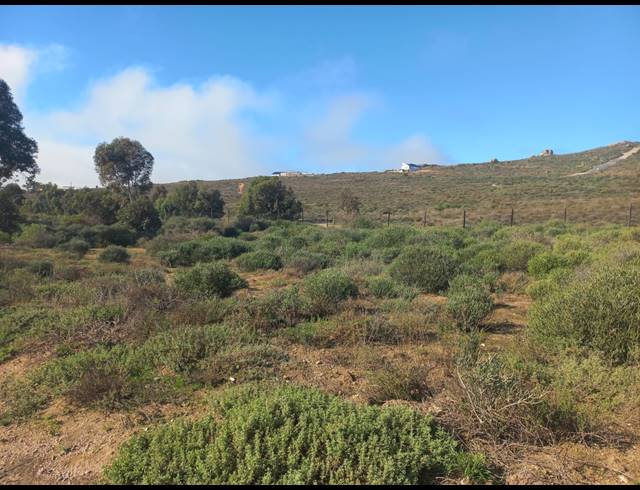 450M² VACANT LAND FOR SALE IN STEENBERGS COVE
